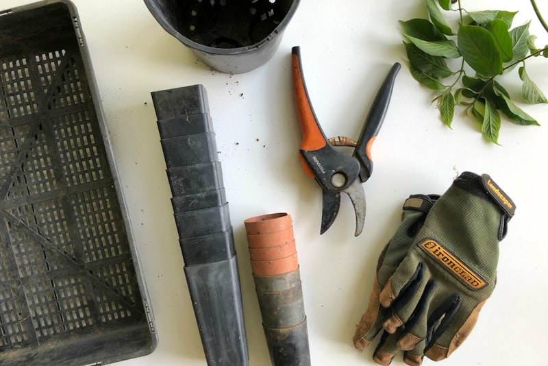 Pruning shears beside gardening gloves and hand tools on a white surface.