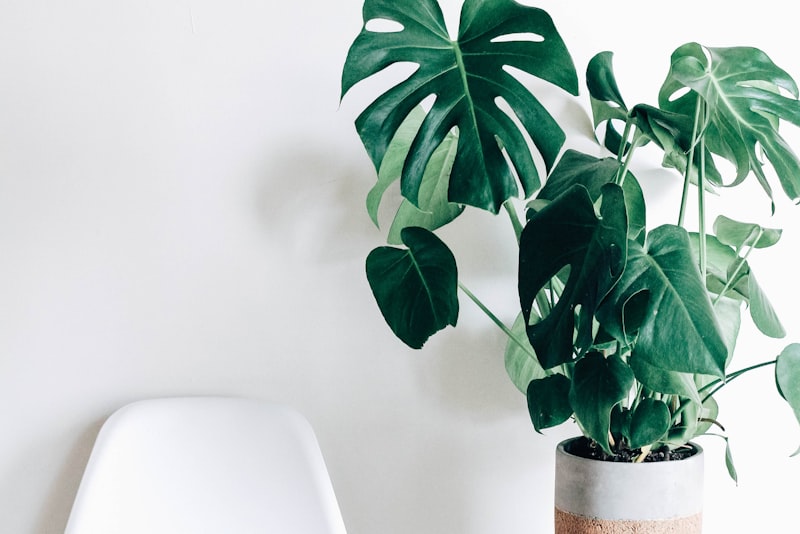 A sunny apartment balcony filled with potted plants beside a small chair.