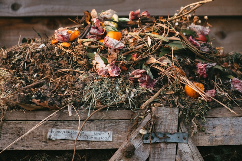 A compost heap of food scraps and garden trimmings in a wooden bin against a fence.